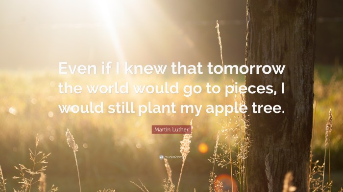 I would still plant my apple tree