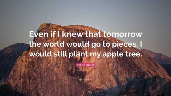 I would still plant my apple tree