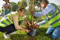 Plant a tree picture