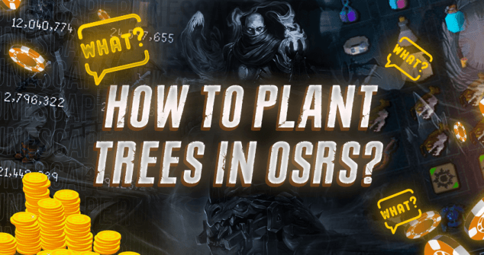 How to plant a tree osrs