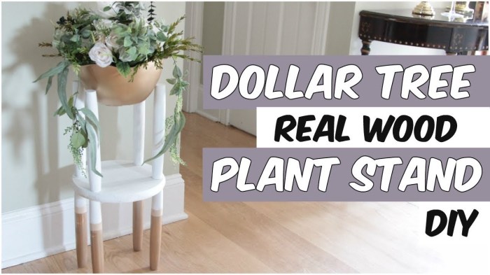 Plant stands dollar tree