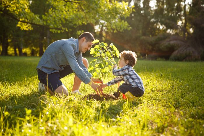 Time of year to plant trees