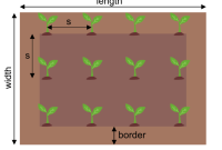 How far plant tree from house