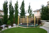 Trees deciduous backyard narrow landscaping columnar aspen swedish edmonton tremula erecta hedge populus canopy fences front yards popu fencing